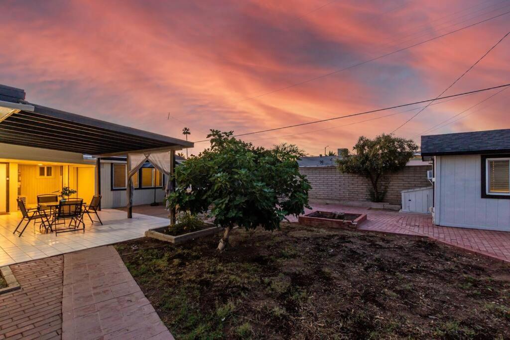 New Midtown Modern Studio With Backyard Phoenix Exterior photo