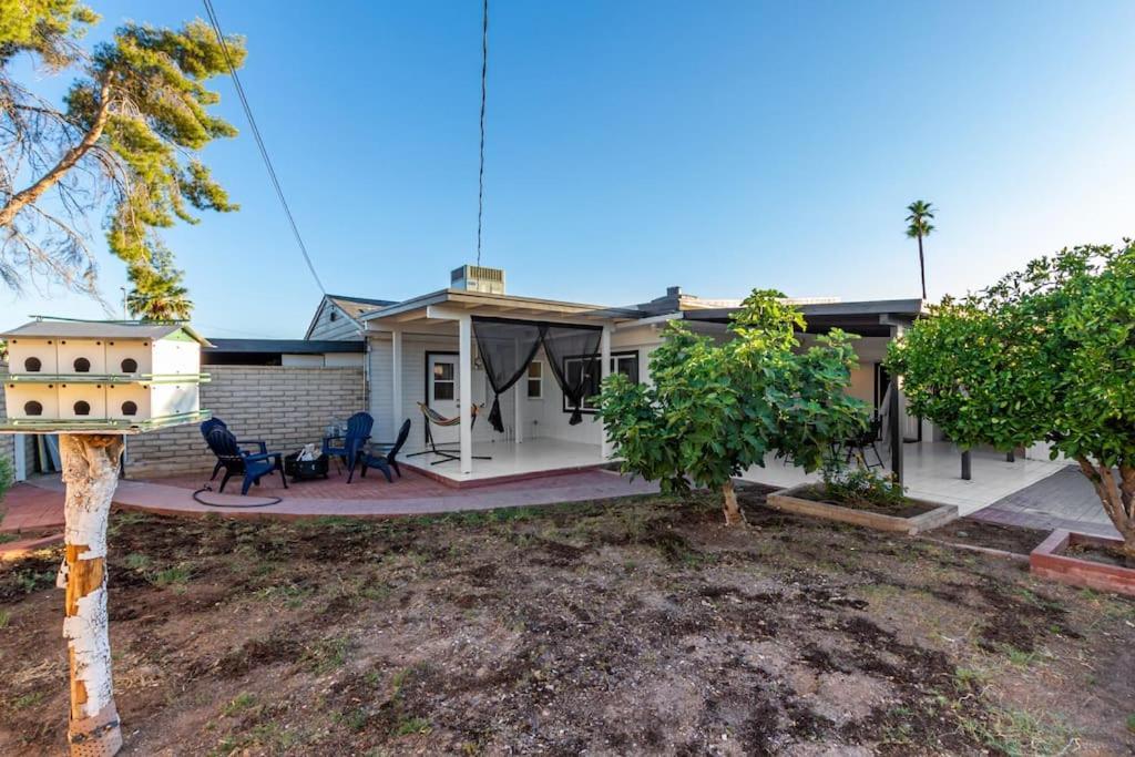 New Midtown Modern Studio With Backyard Phoenix Exterior photo